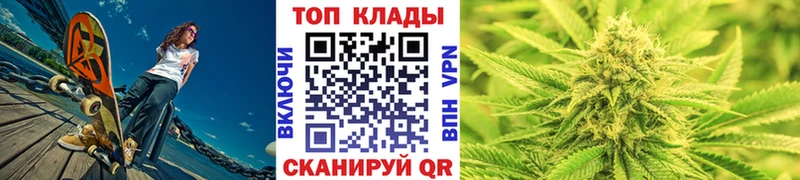 Где купить наркоту Кировск Кокаин Мефедрон ГАШ АМФЕТАМИН Конопля