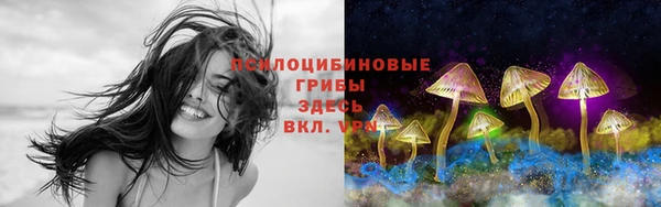 сатива Белоозёрский