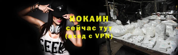сатива Белоозёрский
