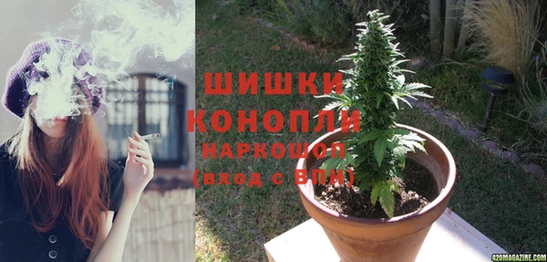 сатива Белоозёрский