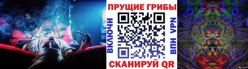 Галлюциногенные грибы мицелий  дарнет шоп  Кировск 